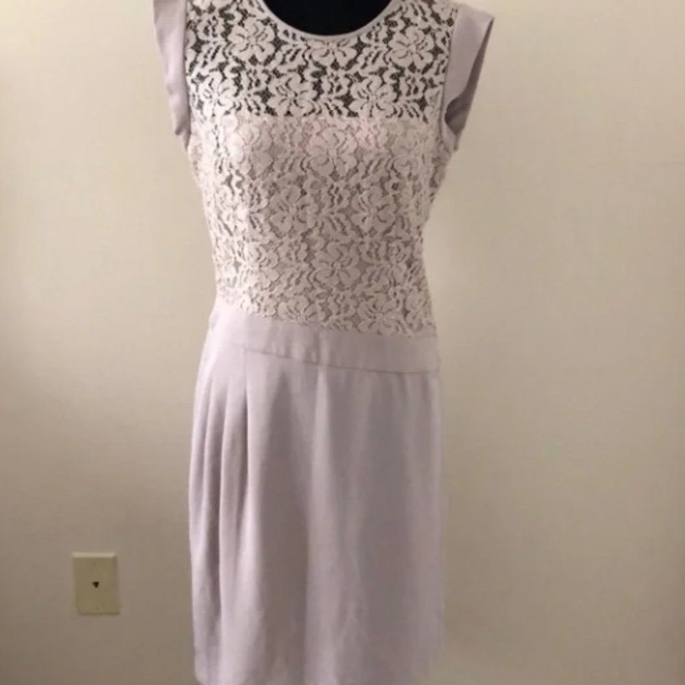 BCBG Aimee Dress in Pumice NWT Size 10 - Picture 3 of 7
